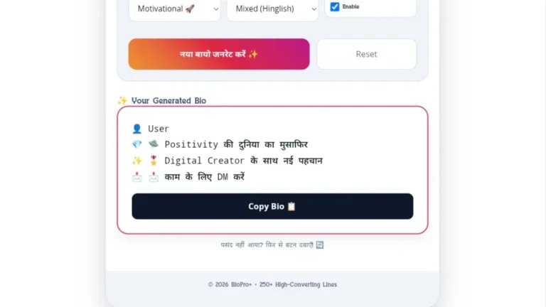 Generated VIP Instagram bio example in Hindi with stylish fonts and emojis.